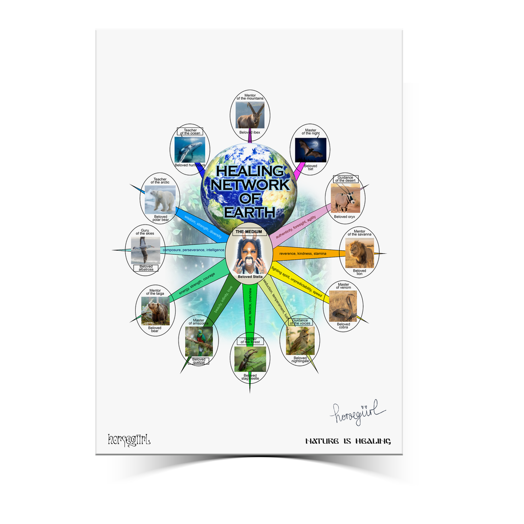 Healing Network Tee and Signed Poster Bundle